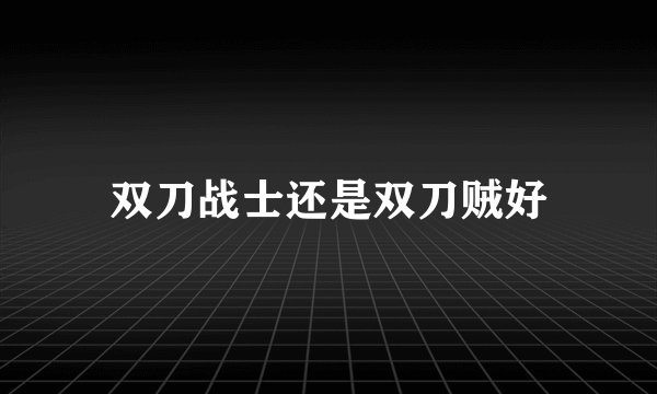 双刀战士还是双刀贼好