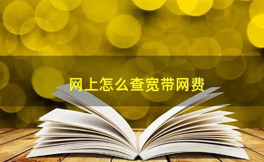 网上怎么查宽带网费
