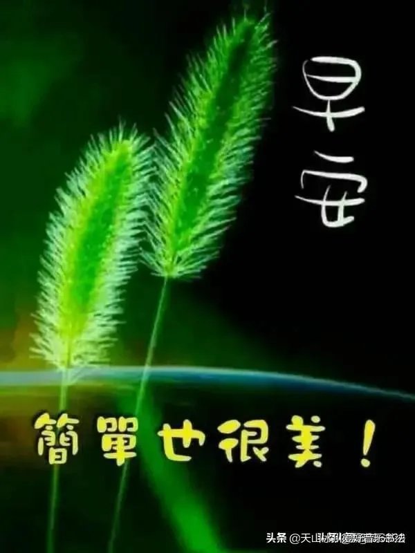 习惯一个人生活