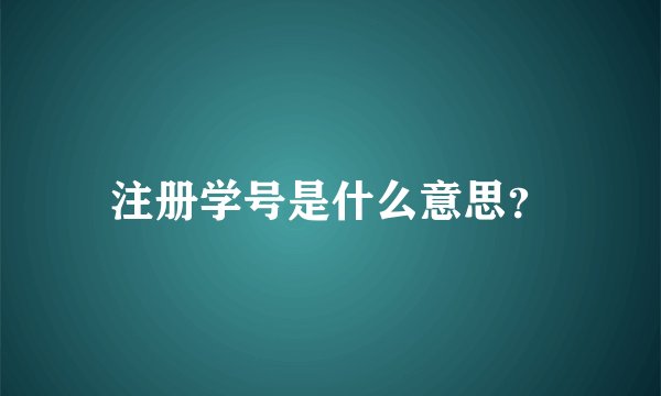 注册学号是什么意思？