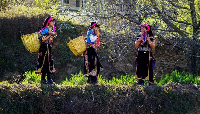 梅州客家传统文化风俗 梅州客家传统文化风俗是