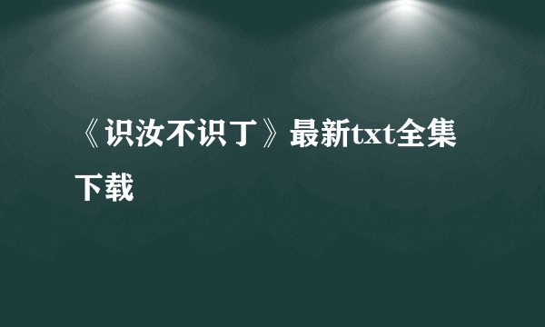 《识汝不识丁》最新txt全集下载