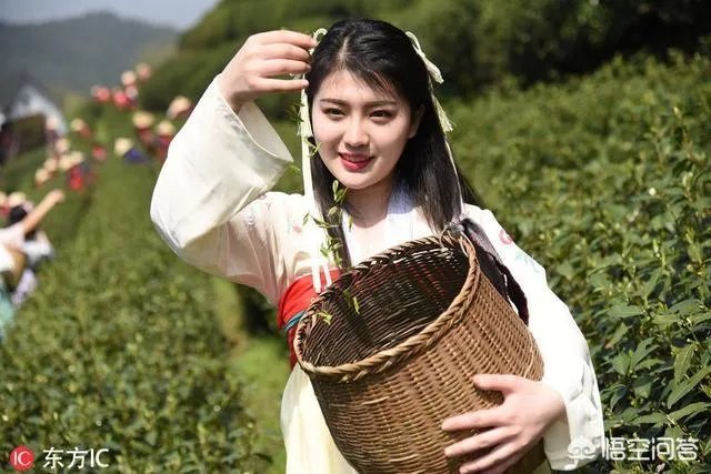 中国茶叶连锁店遍地开花，如何抓住客户？