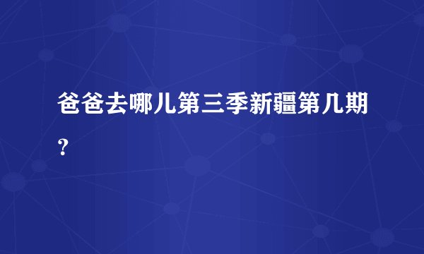 爸爸去哪儿第三季新疆第几期？