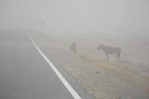 沙尘暴的危害有哪些 沙尘暴对人类有什么危害呢