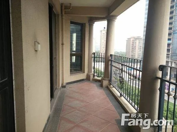 张天域的运动生涯