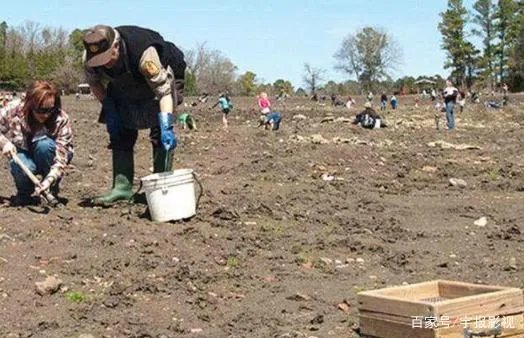 让人疯狂的钻石公园，挖到钻石能带走，对此你怎么看？