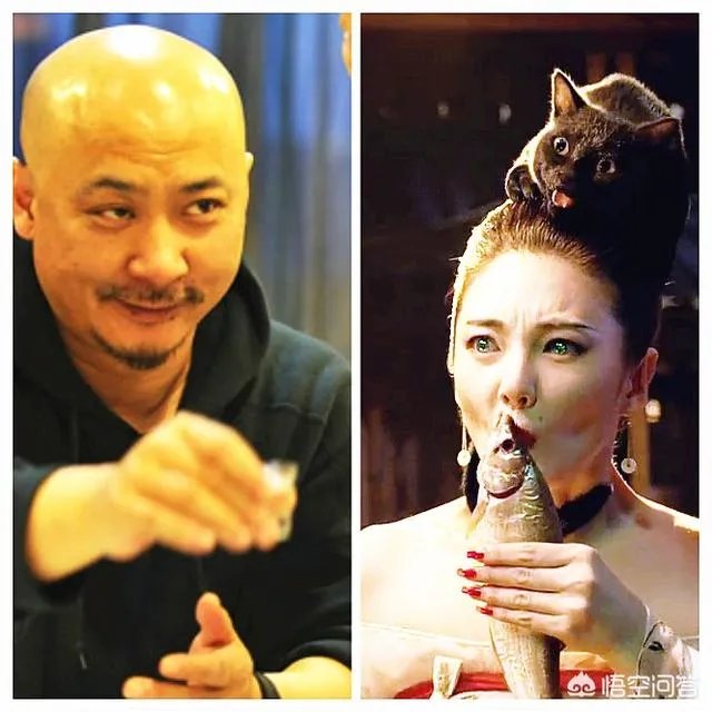 如何看待张雨绮对前夫袁巴元爆料的回应？