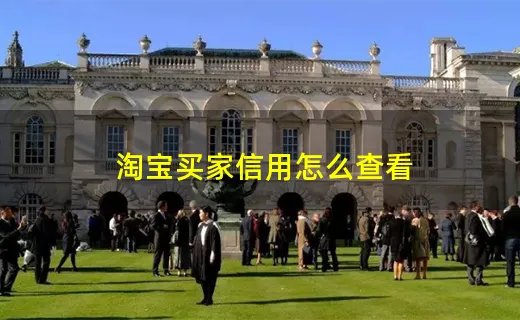 淘宝买家信用怎么查看