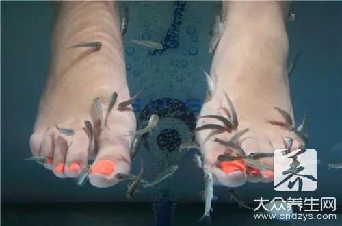 别恐惧鱼疗，也是健康的养生方法哦！