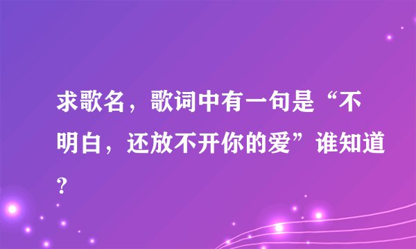 求歌名，歌词中有一句是“不明白，还放不开你的爱”谁知道？