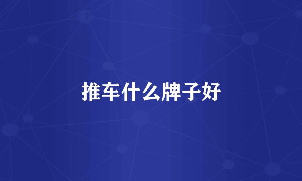 推车什么牌子好