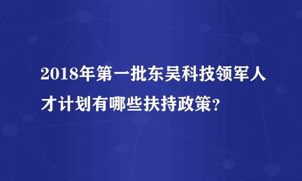 2018年第一批东吴科技领军人才计划有哪些扶持政策？