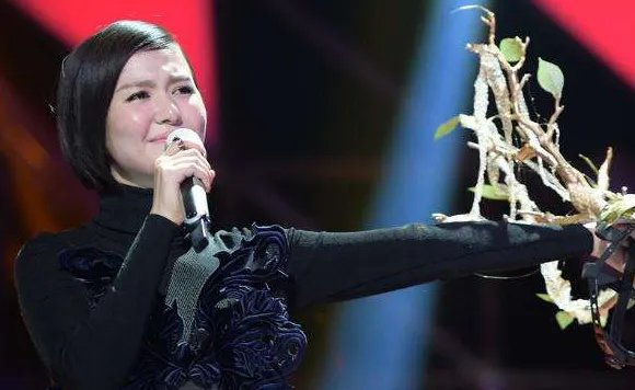 谭维维爱情事业双丰收，她是有多幸运？