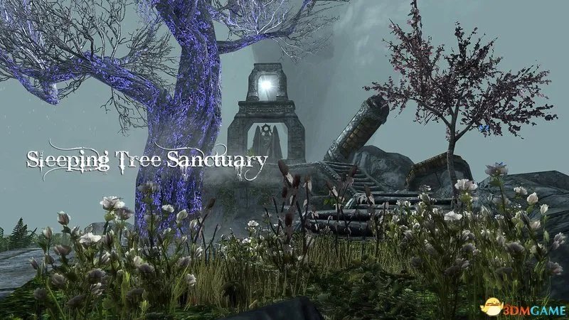 上古卷轴5 矮人的秘密 沉睡之树圣域 解密上古世界