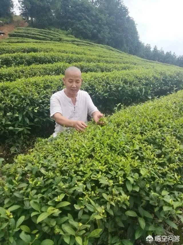 现代农业产业园该如何创建？