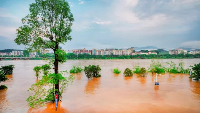 10月13日是什么节日 10月13日对应节日有哪些