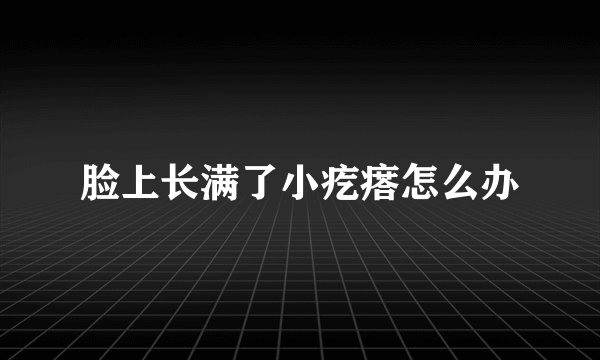 脸上长满了小疙瘩怎么办