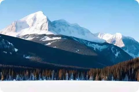 reliable的名词动词和副词分别是什么？