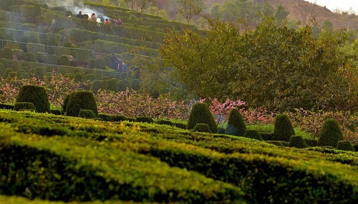 2022清明节哪天上坟最好 2022年清明节上坟最佳时间