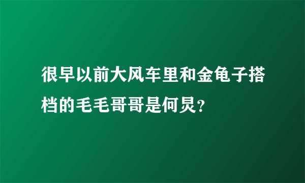 很早以前大风车里和金龟子搭档的毛毛哥哥是何炅？