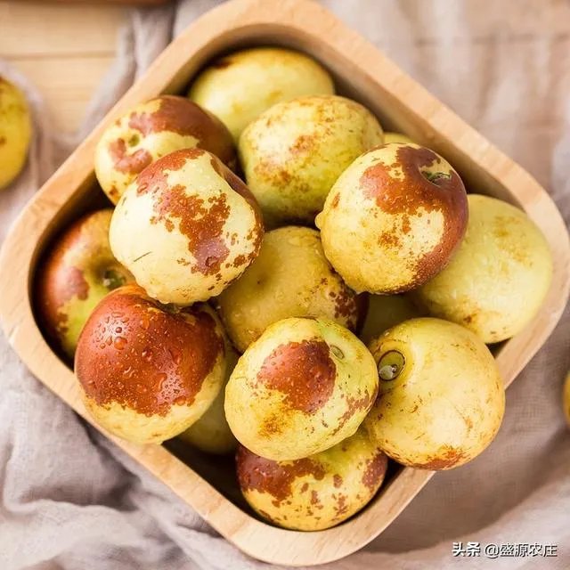 现在冬枣价格多少钱一斤？南方种植冬枣的前景如何？