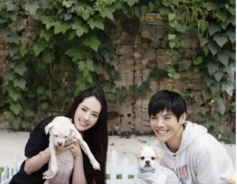 向太对郭碧婷已生女的谣言都表达了什么？