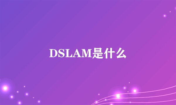 DSLAM是什么