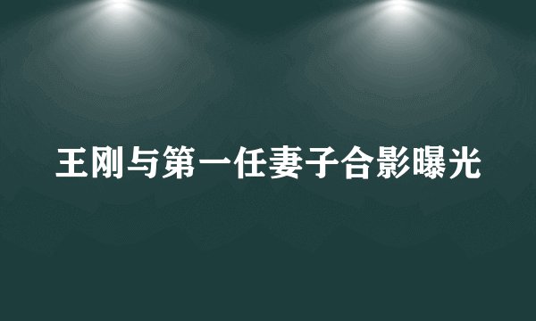 王刚与第一任妻子合影曝光