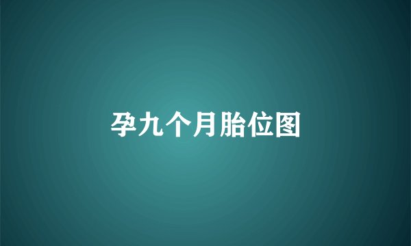 孕九个月胎位图