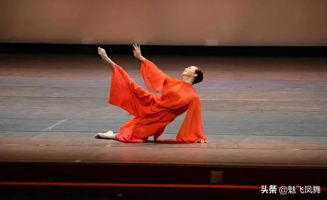 金星老师和《舞蹈风暴》中的沈伟老师，谁的国际影响力更大？