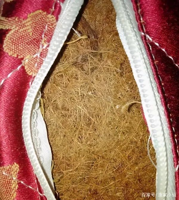 硬棕垫的胶水有毒么