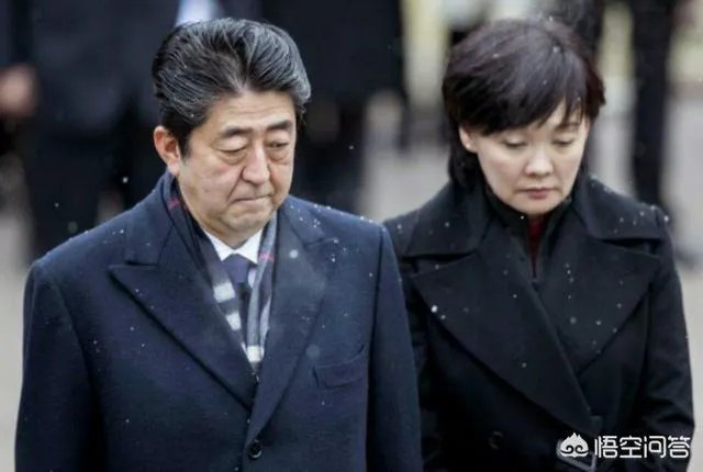 安倍夫人被软禁你怎么看？