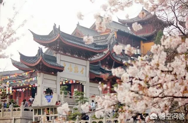南京鸡鸣寺的樱花什么季节开？