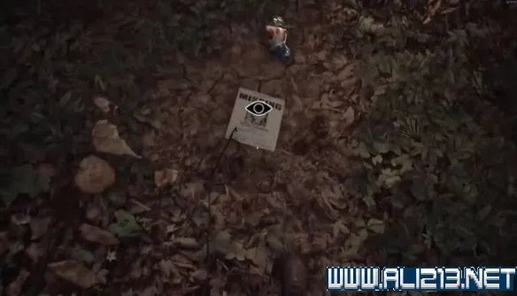 《布莱尔女巫》图文攻略 全解密+剧情流程攻略