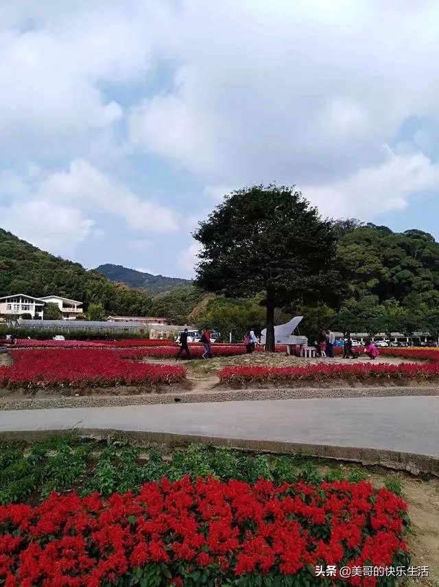 五一从化一日游去哪合适？