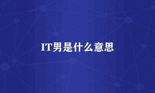 IT男是什么意思