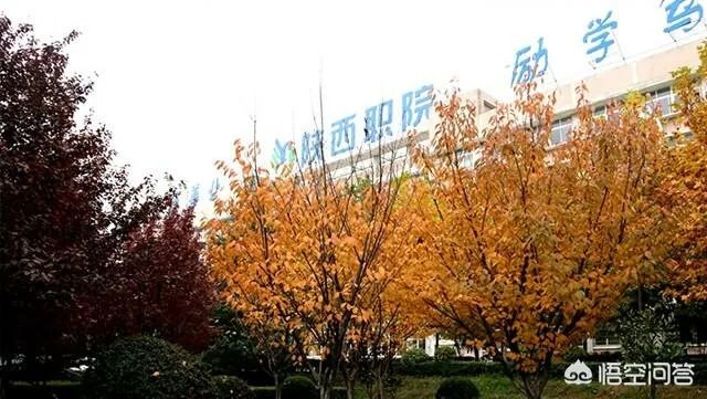 陕西省有哪些大专？哪所大专比较好？
