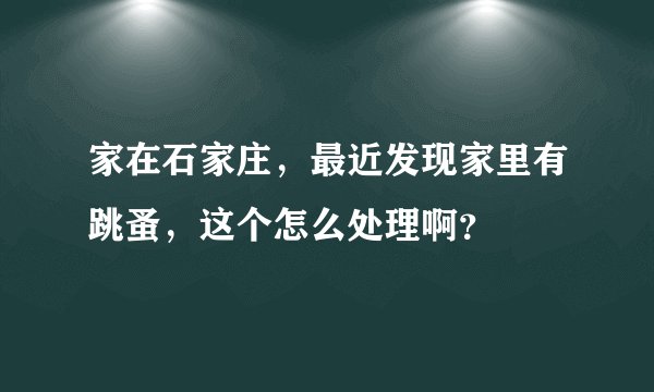家在石家庄,最近发现家里有跳蚤,这个怎么处理啊?