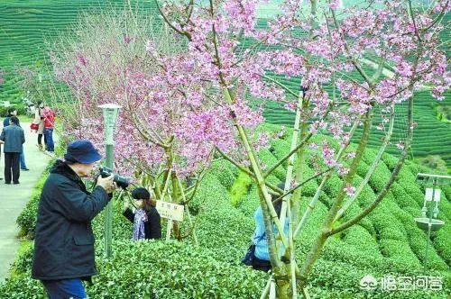 2018年农业的商机有哪些？