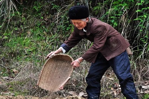 100岁奶奶贴脸陪伴98岁爷爷，这是爱情吗？