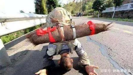 他是中国真正的苦行僧，三步一拜走完四大名山，那他是谁呢？