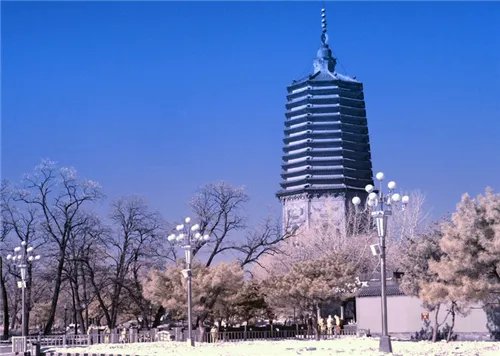 2017辽阳市房价走势图  辽阳买房注意事项搞清不被坑