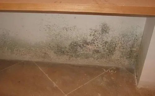 墙发霉了怎么处理