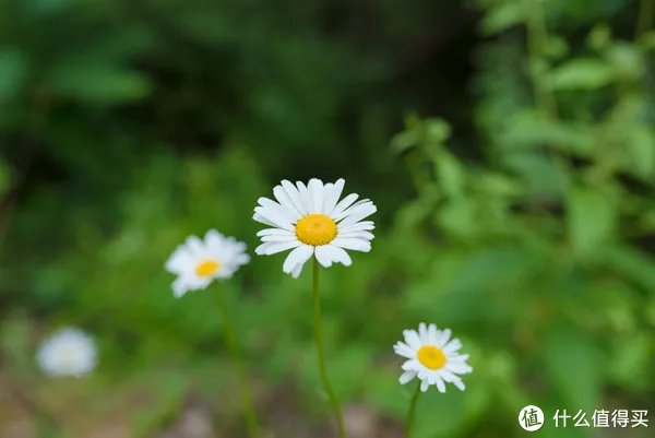 记一次黄河丹峡游记