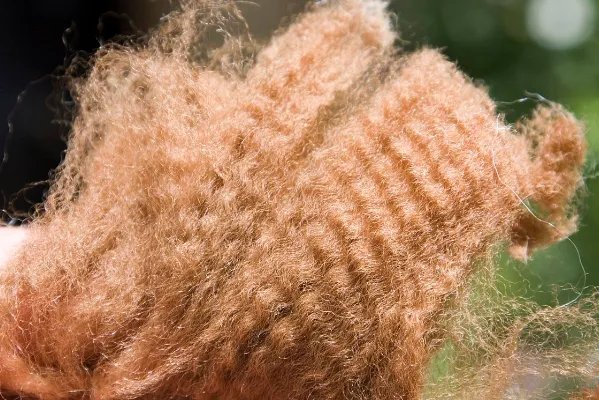 羊驼毛和羊毛哪个好