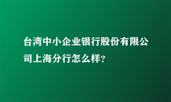 台湾中小企业银行股份有限公司上海分行怎么样？