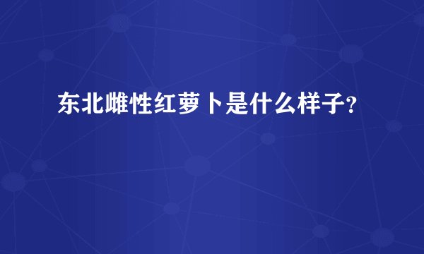 东北雌性红萝卜是什么样子？
