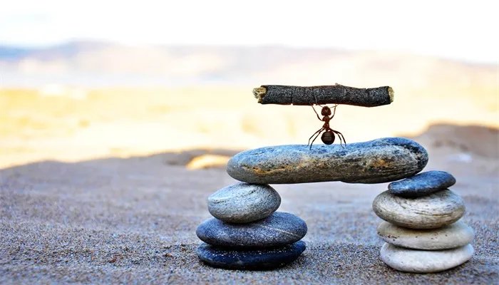 蚂蚁和蝉的寓意