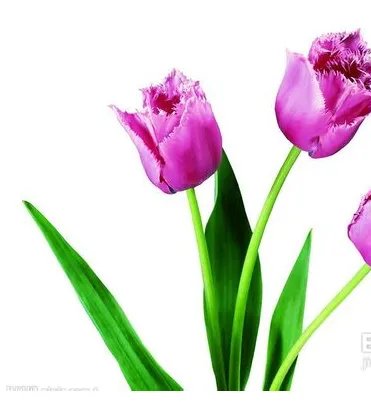 送老师什么礼物最好?